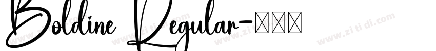 Boldine Regular字体转换